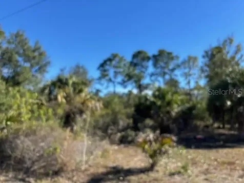 28165 Monte Cristo Drive Punta Gorda FL 33955