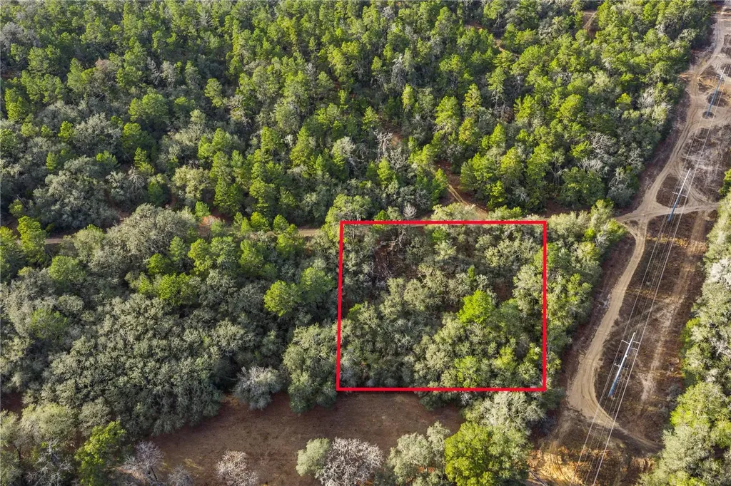 115 S Crestview Avenue Inverness FL 34452