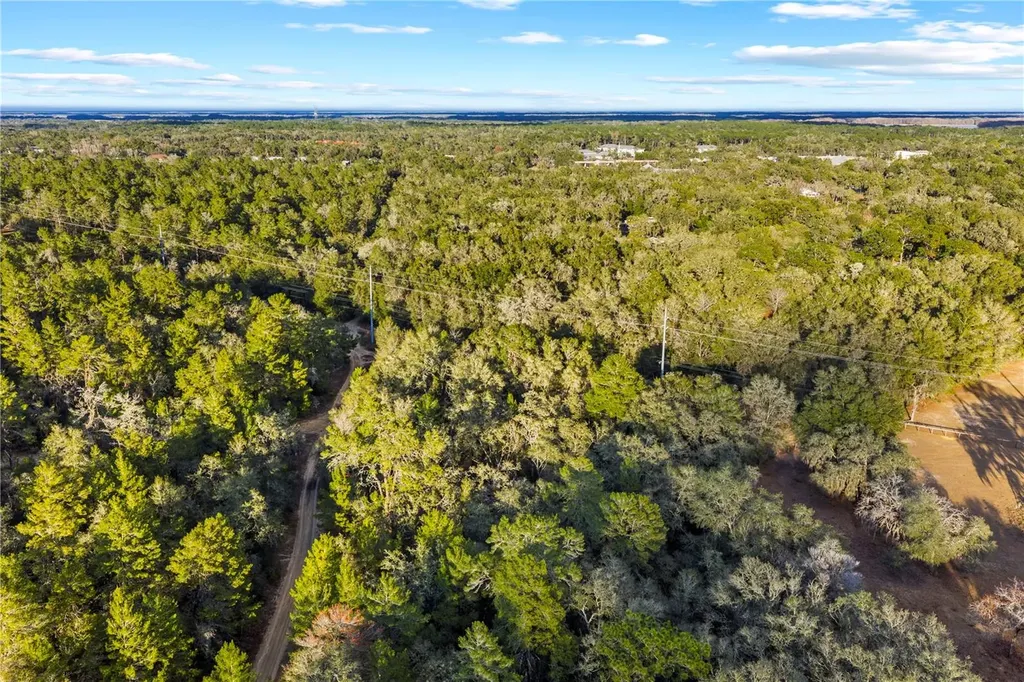 115 S Crestview Avenue Inverness FL 34452
