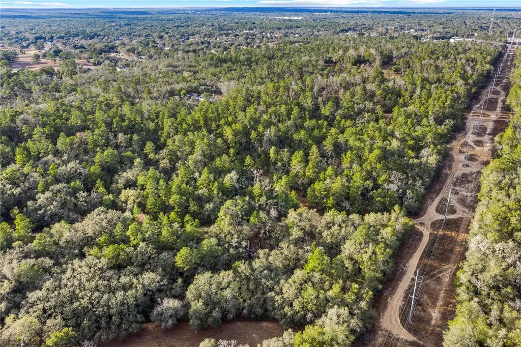 115 S Crestview Avenue Inverness FL 34452