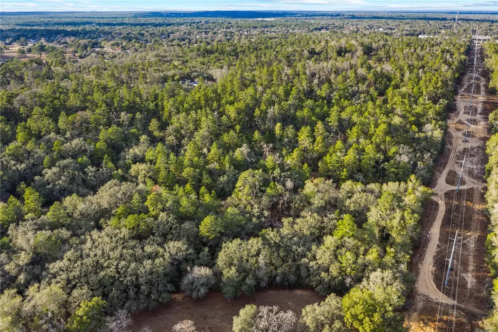 115 S Crestview Avenue Inverness FL 34452