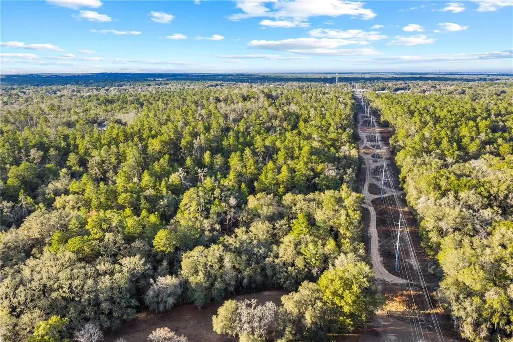 115 S Crestview Avenue Inverness FL 34452