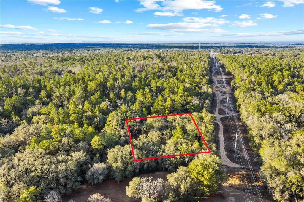 115 S Crestview Avenue Inverness FL 34452