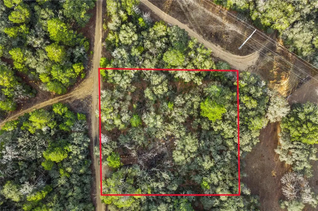 115 S Crestview Avenue Inverness FL 34452