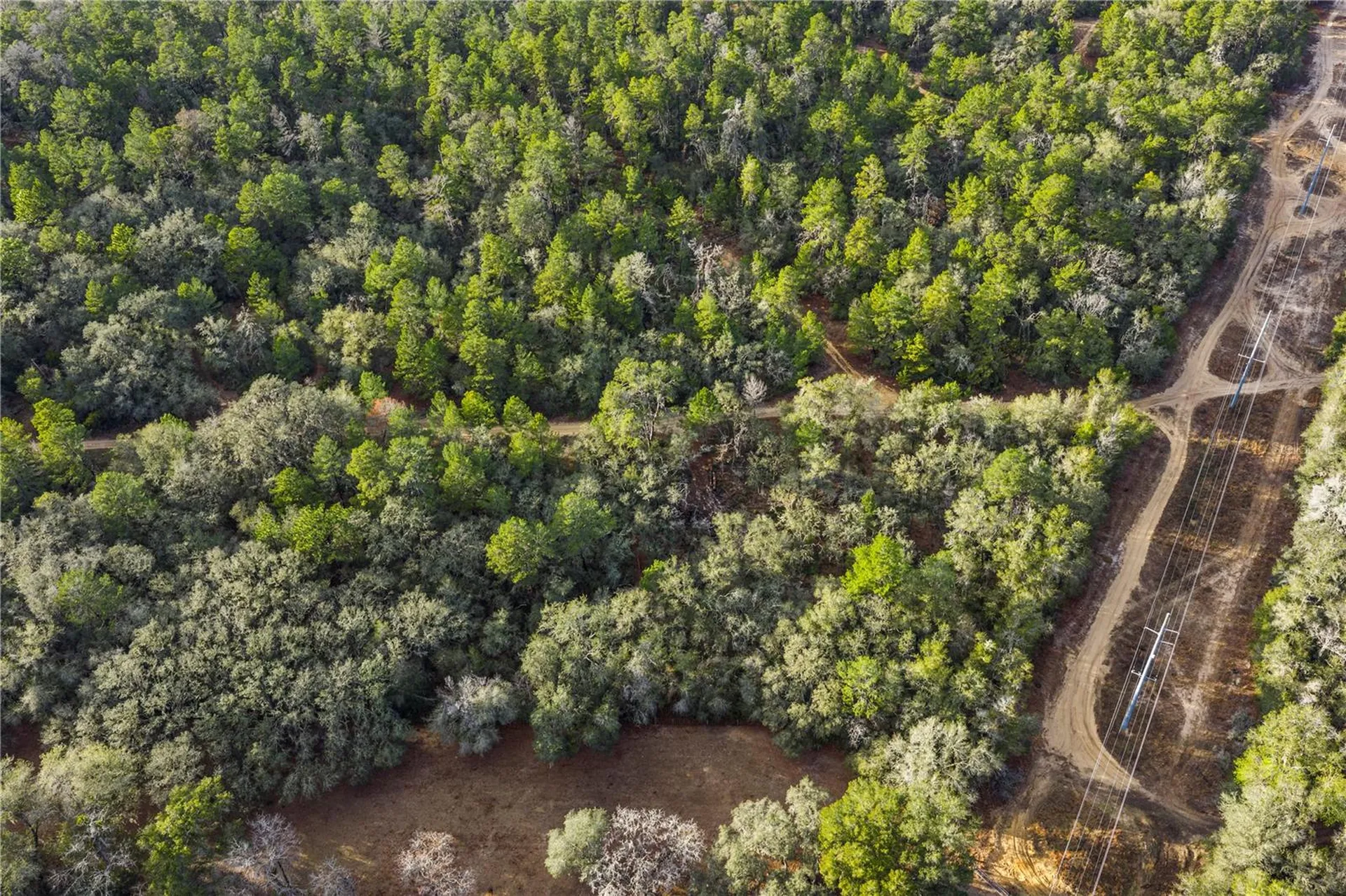 115 S Crestview Avenue Inverness FL 34452