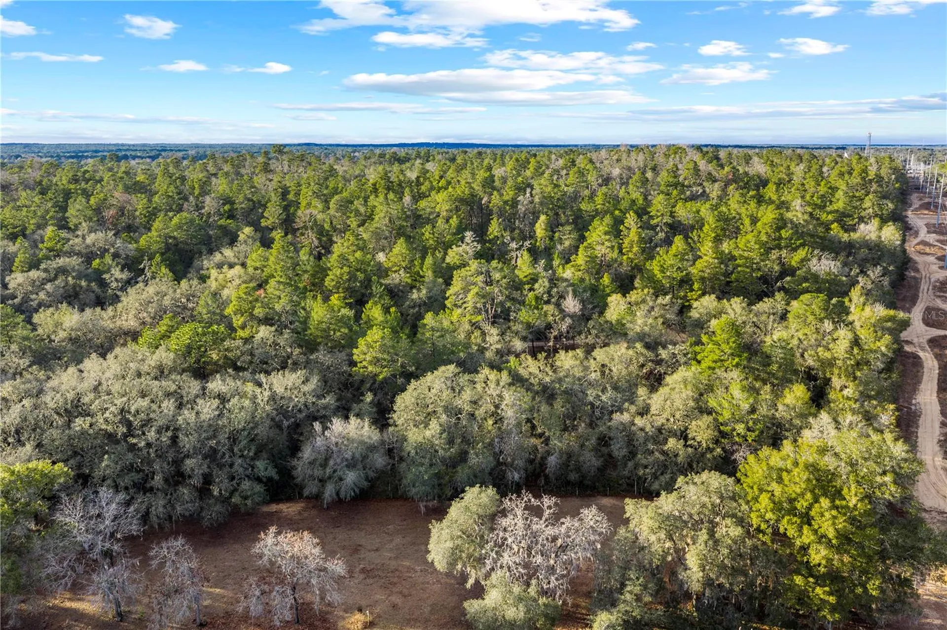 115 S Crestview Avenue Inverness FL 34452