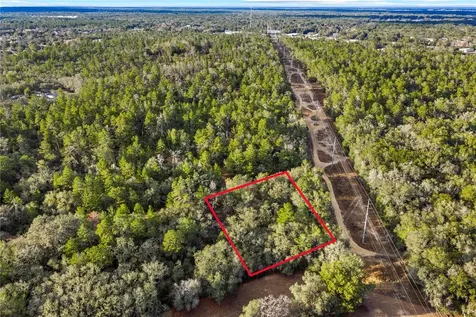 115 S Crestview Avenue Inverness FL 34452