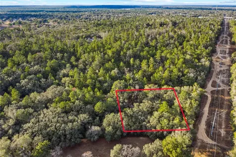 115 S Crestview Avenue Inverness FL 34452