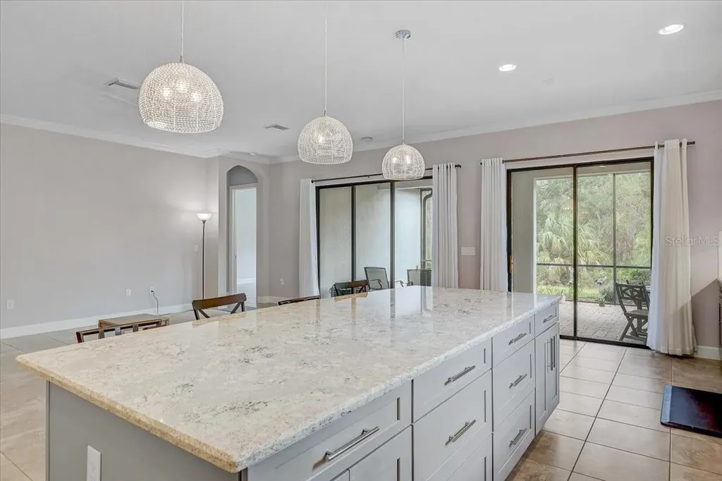 20113 Umbria Hill Drive Tampa FL 33647