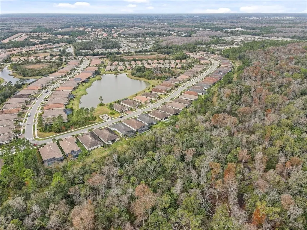20113 Umbria Hill Drive Tampa FL 33647