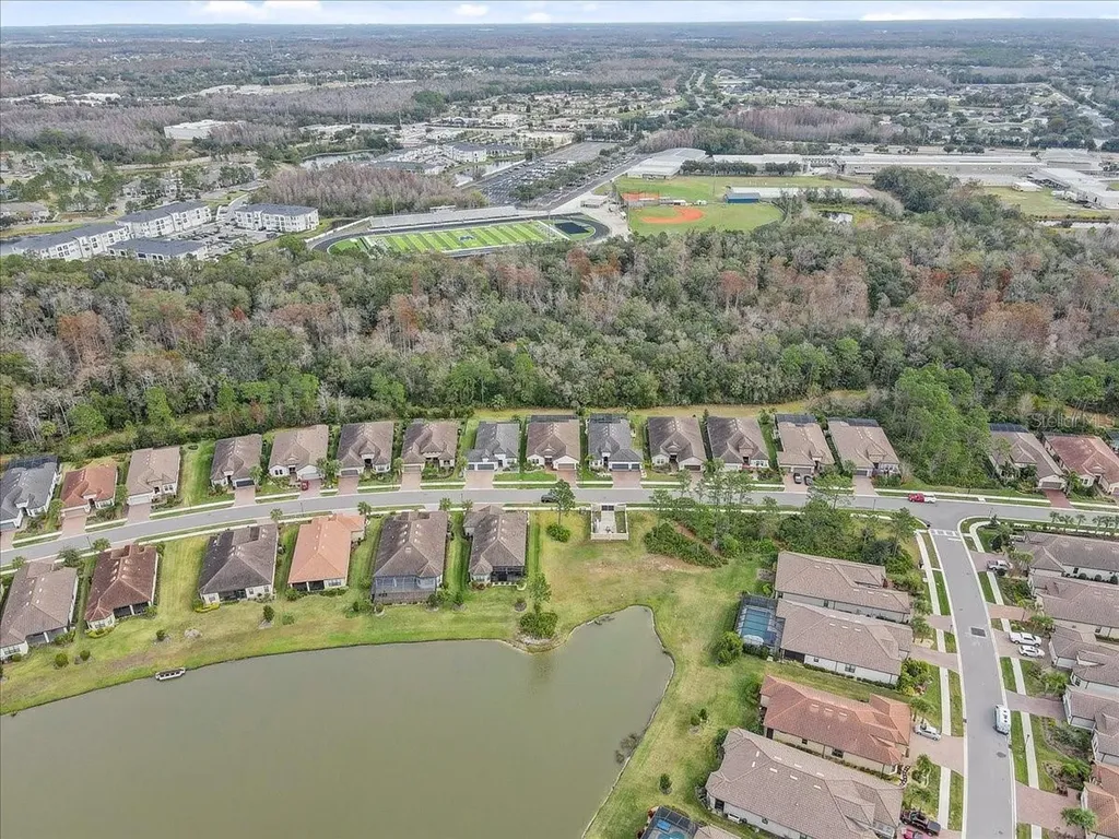 20113 Umbria Hill Drive Tampa FL 33647