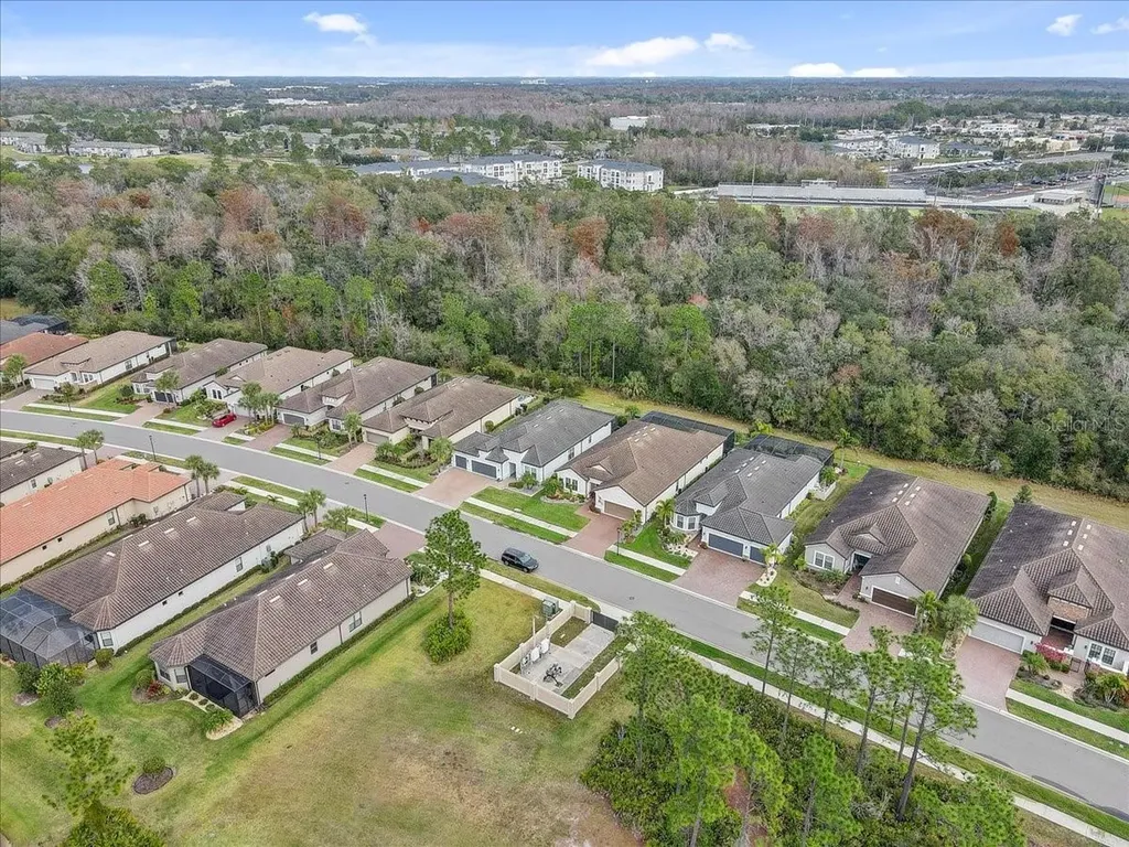20113 Umbria Hill Drive Tampa FL 33647