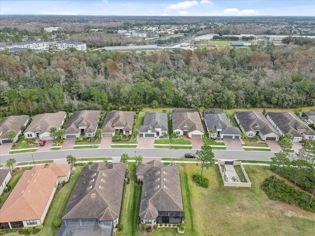 20113 Umbria Hill Drive Tampa FL 33647