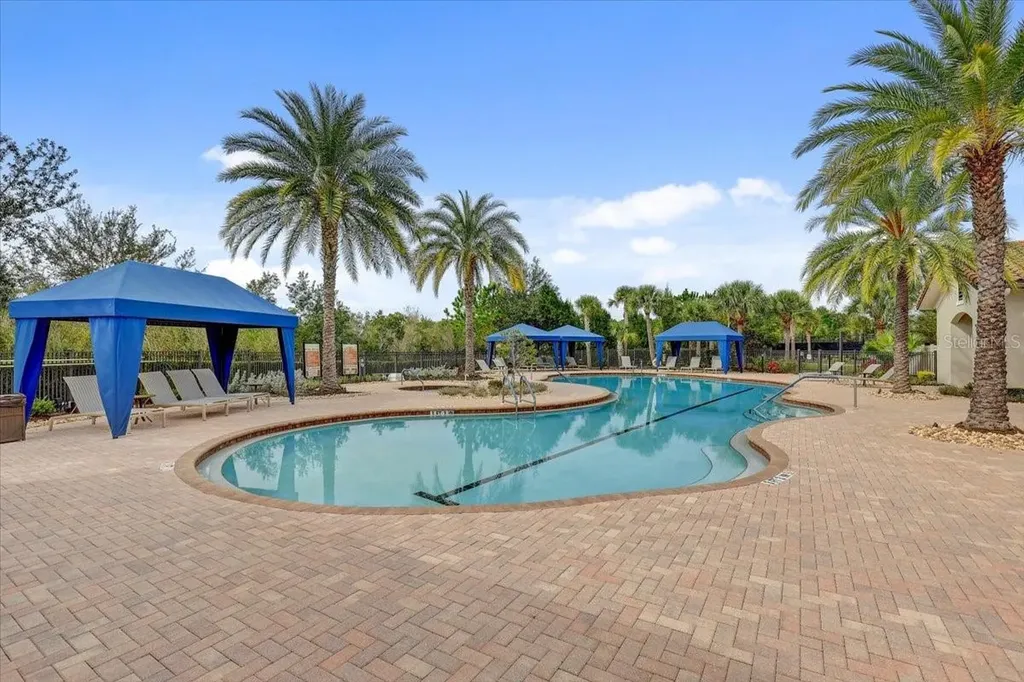 20113 Umbria Hill Drive Tampa FL 33647