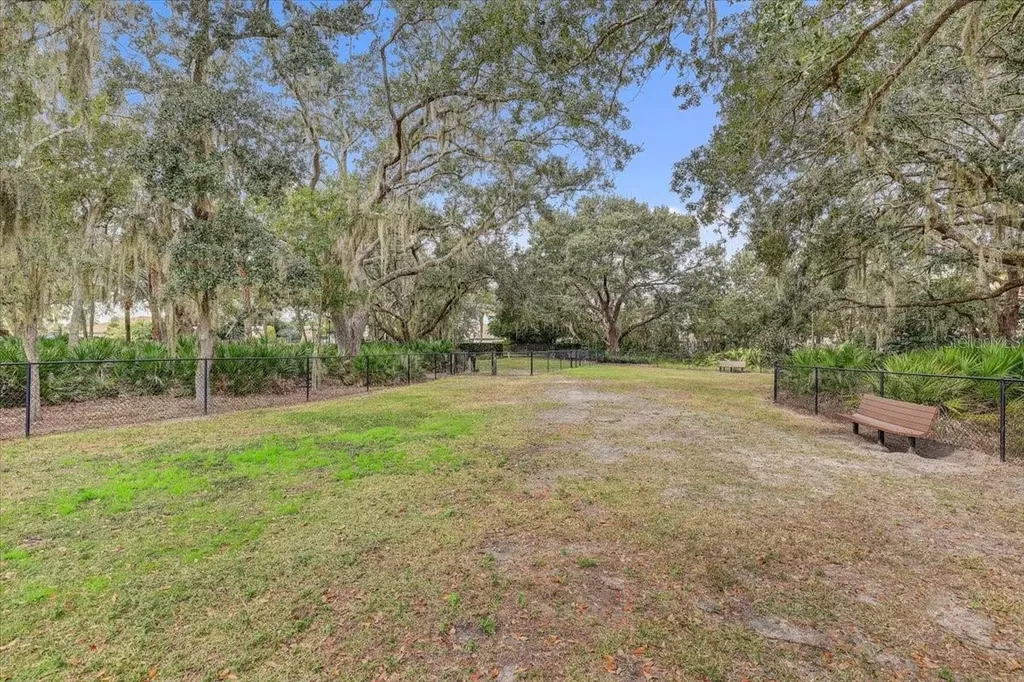 20113 Umbria Hill Drive Tampa FL 33647