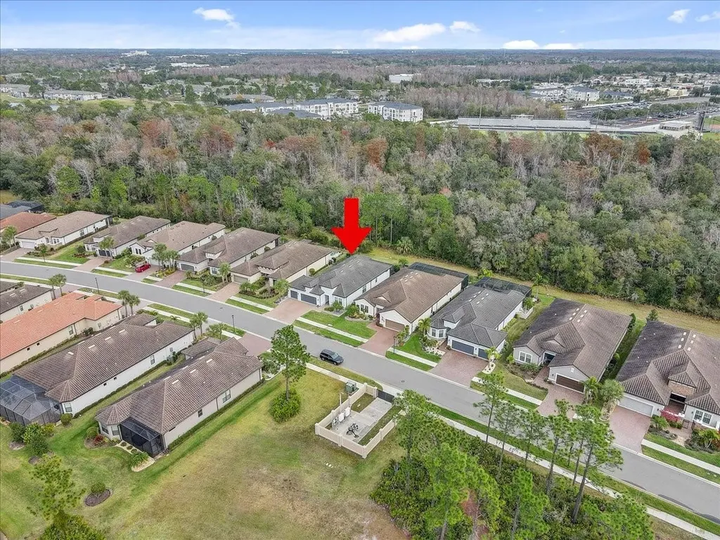 20113 Umbria Hill Drive Tampa FL 33647