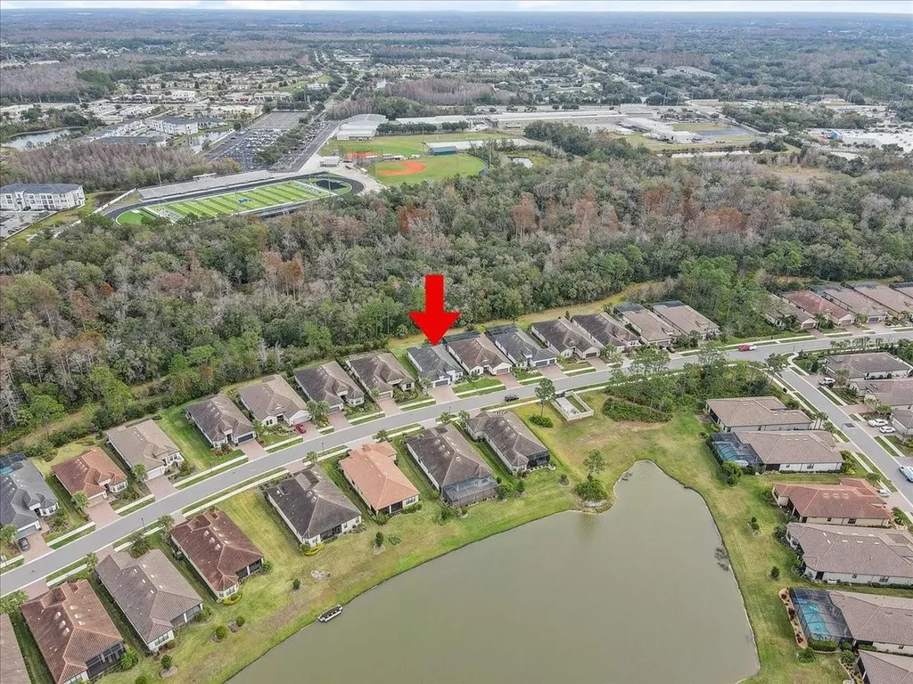 20113 Umbria Hill Drive Tampa FL 33647