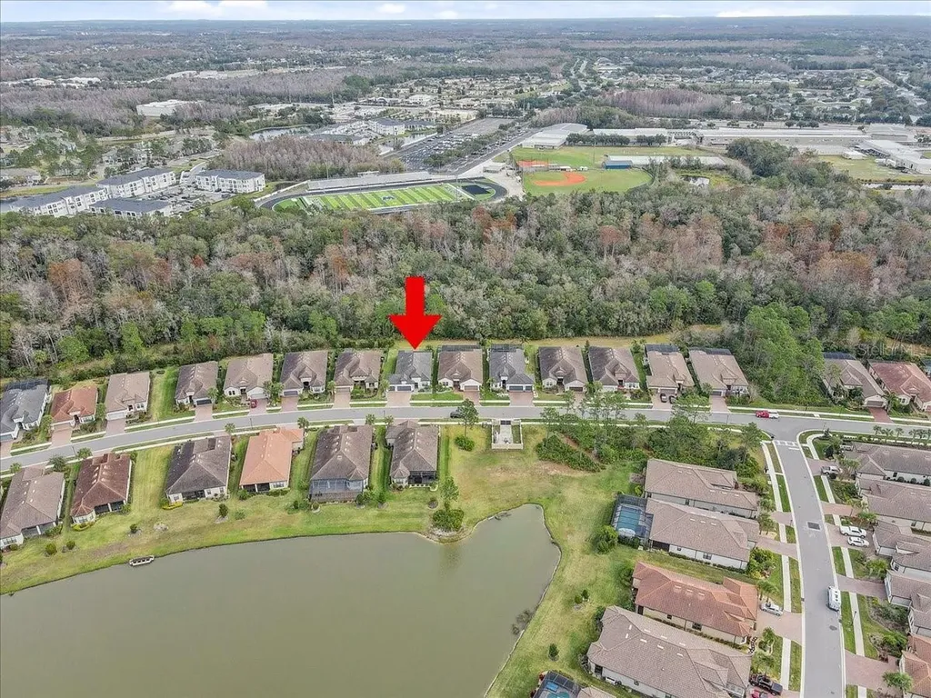 20113 Umbria Hill Drive Tampa FL 33647