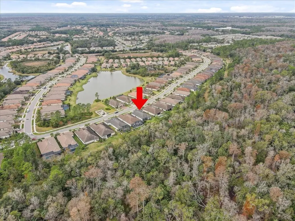 20113 Umbria Hill Drive Tampa FL 33647