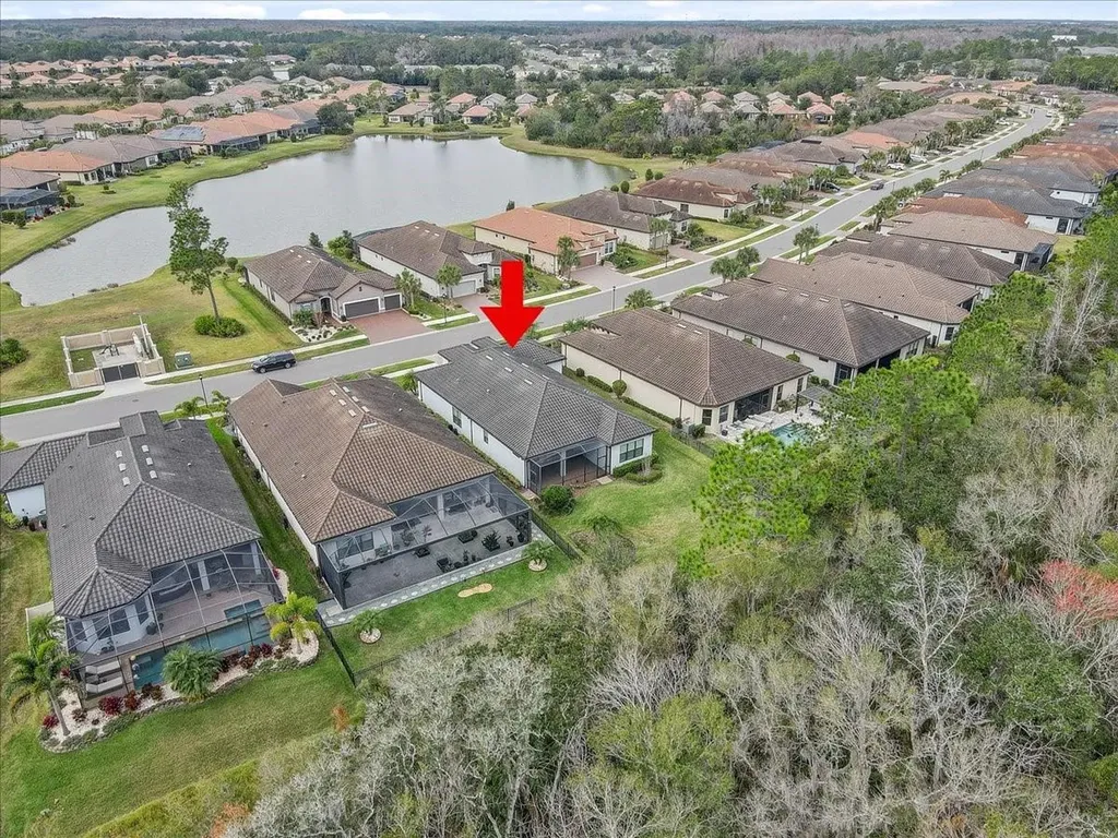 20113 Umbria Hill Drive Tampa FL 33647