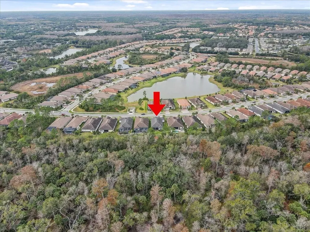 20113 Umbria Hill Drive Tampa FL 33647