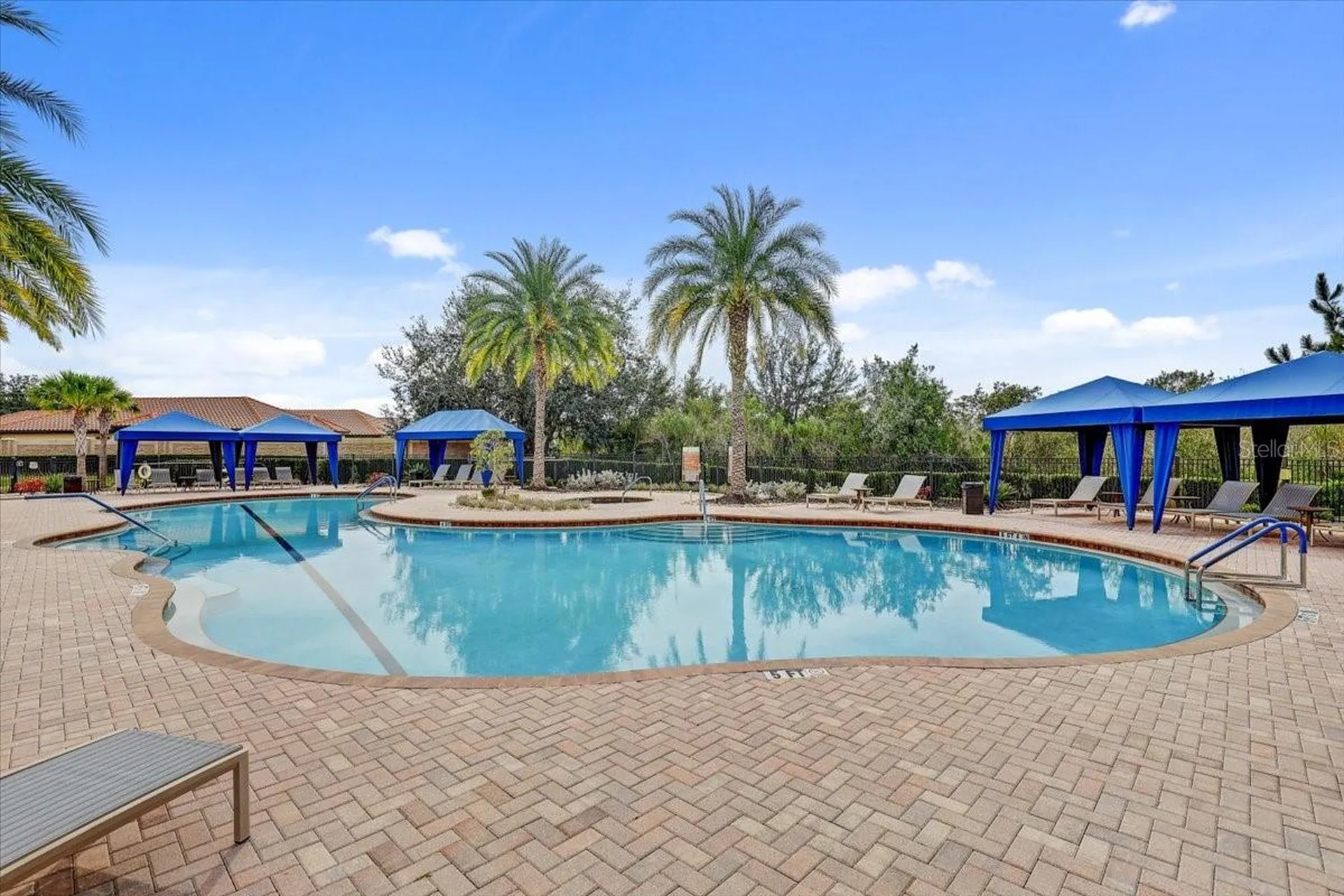 20113 Umbria Hill Drive Tampa FL 33647