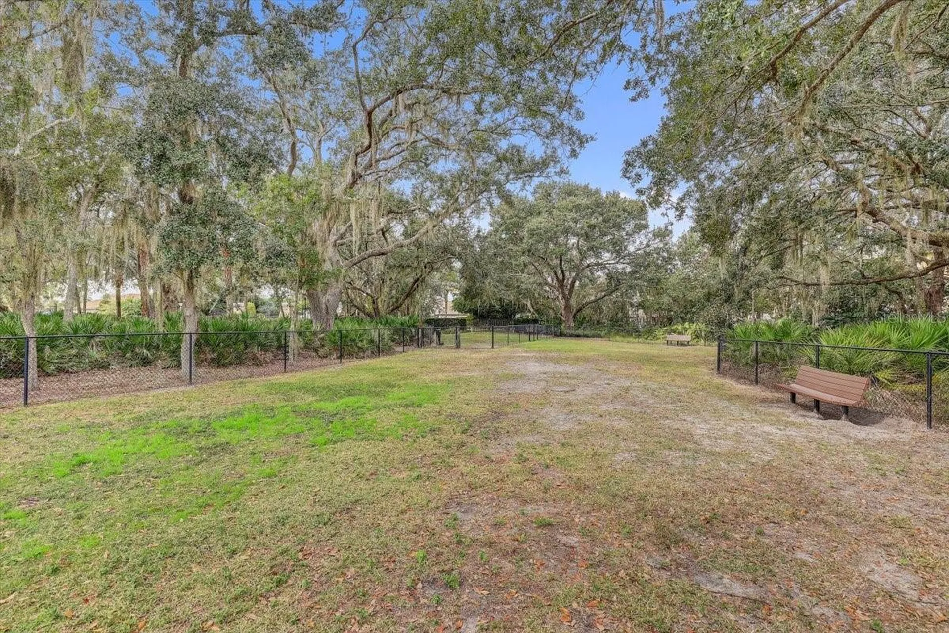 20113 Umbria Hill Drive Tampa FL 33647