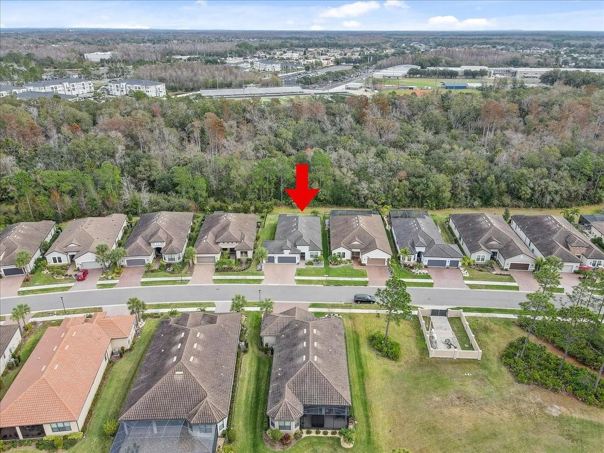 20113 Umbria Hill Drive Tampa FL 33647