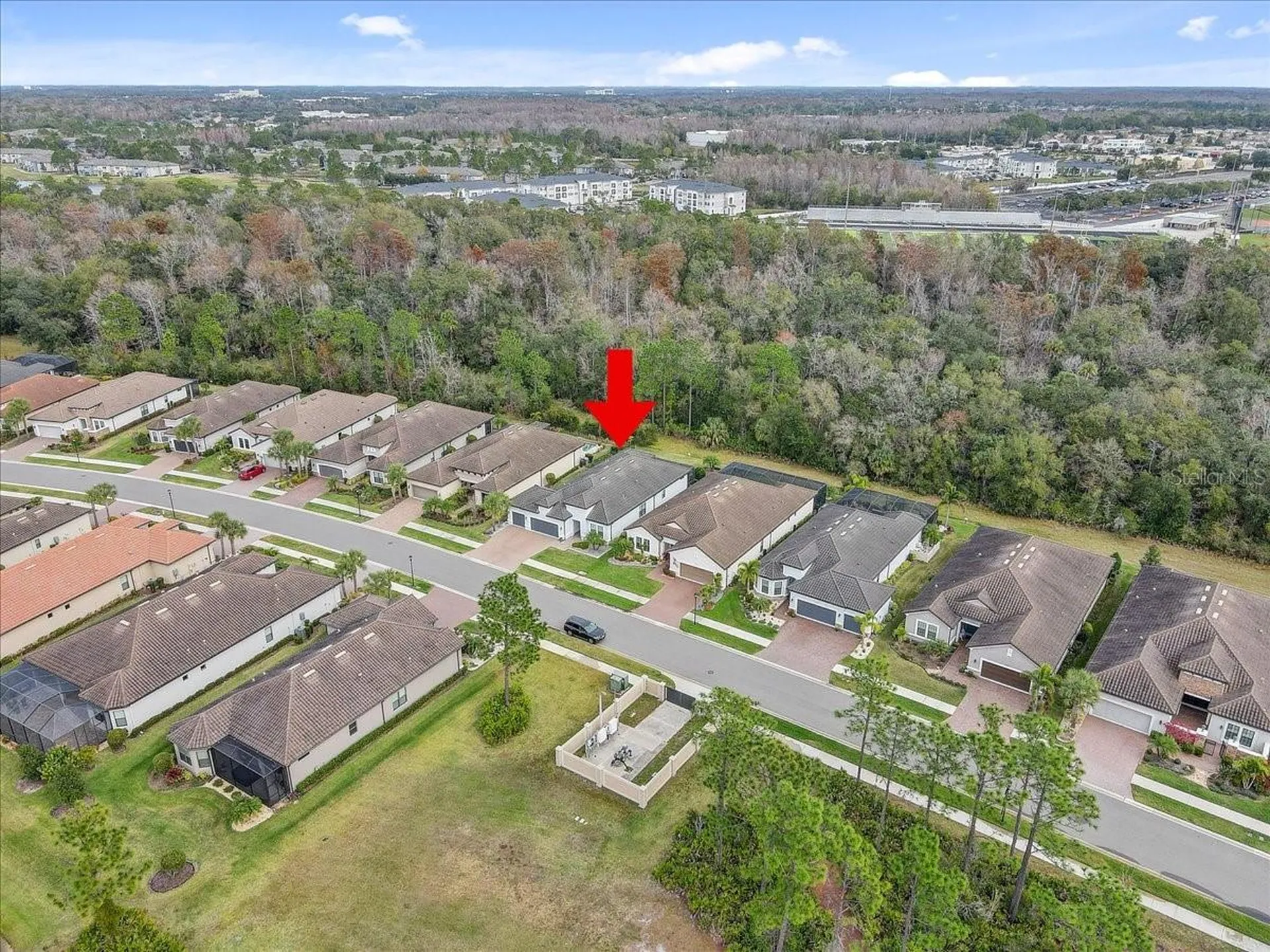20113 Umbria Hill Drive Tampa FL 33647