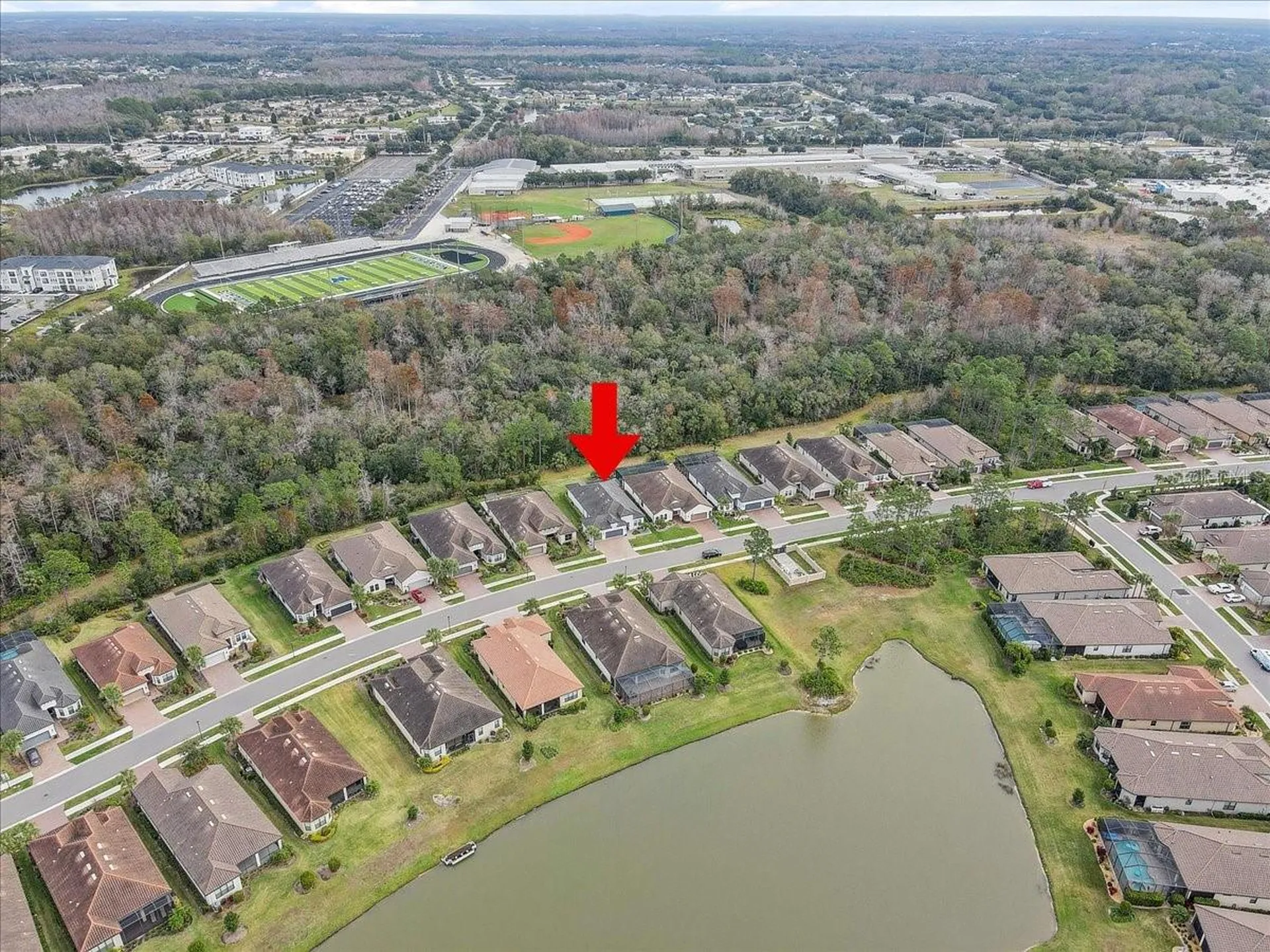 20113 Umbria Hill Drive Tampa FL 33647