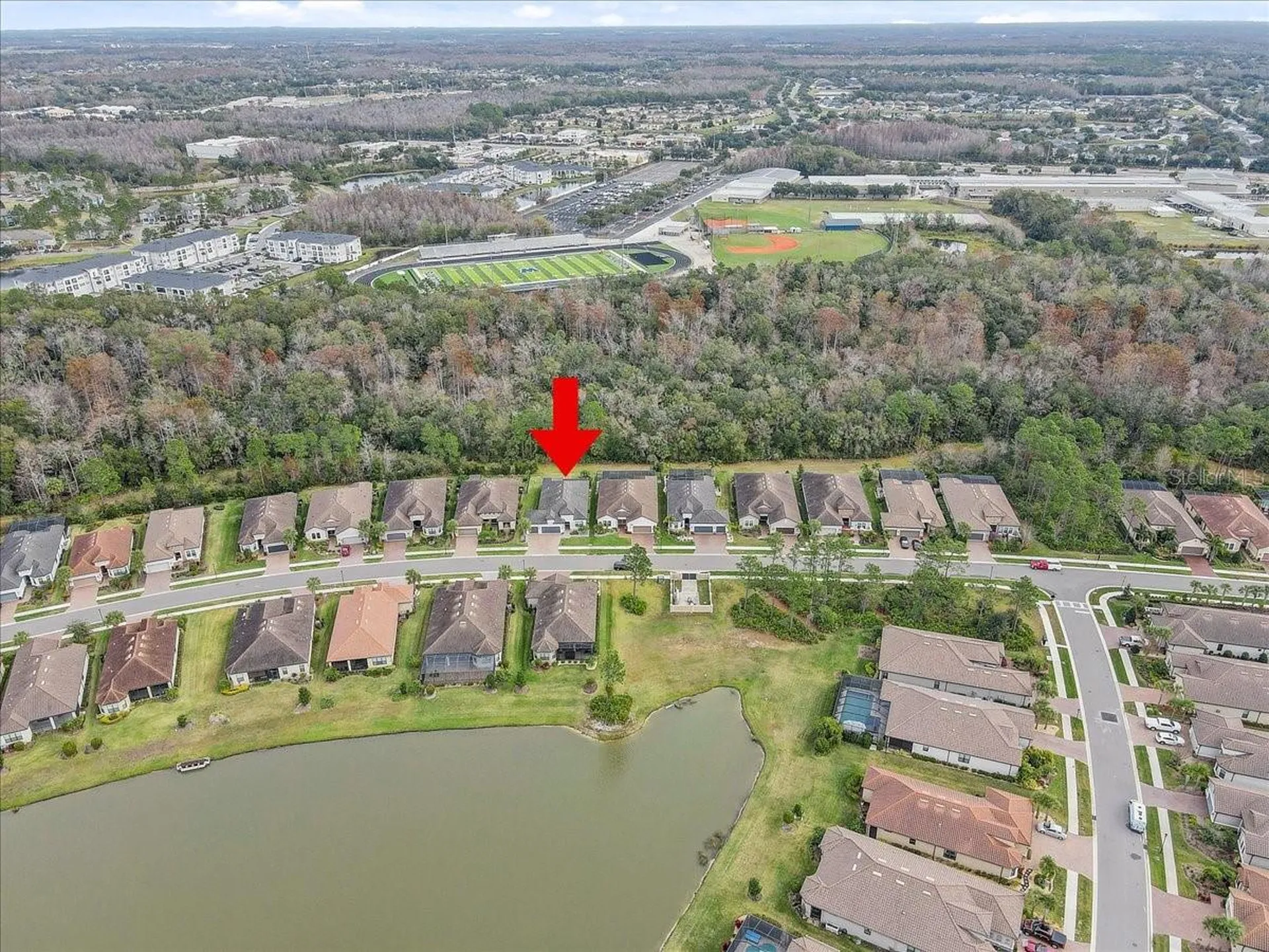 20113 Umbria Hill Drive Tampa FL 33647