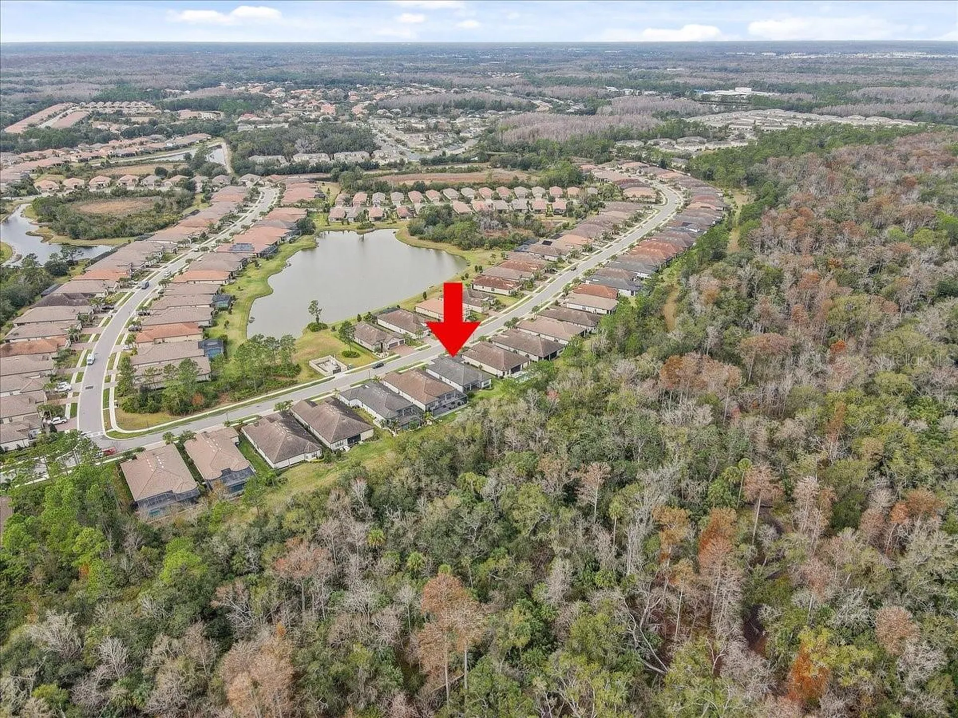 20113 Umbria Hill Drive Tampa FL 33647
