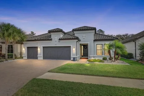 20113 Umbria Hill Drive Tampa FL 33647