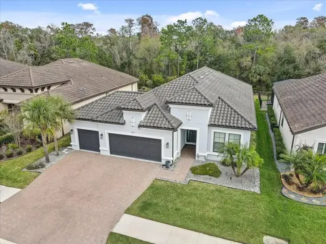 20113 Umbria Hill Drive Tampa FL 33647