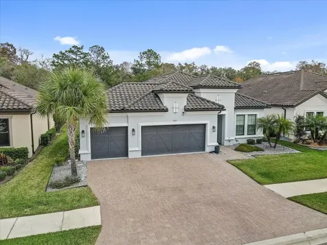 20113 Umbria Hill Drive Tampa FL 33647