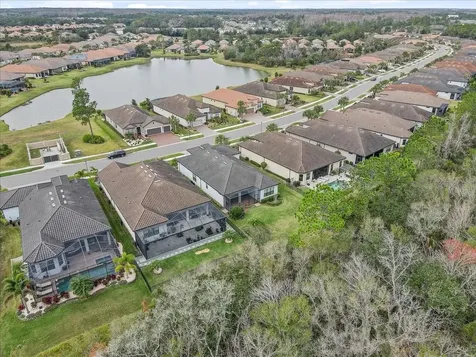 20113 Umbria Hill Drive Tampa FL 33647
