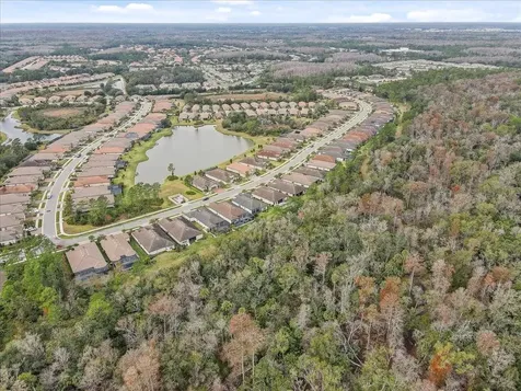 20113 Umbria Hill Drive Tampa FL 33647