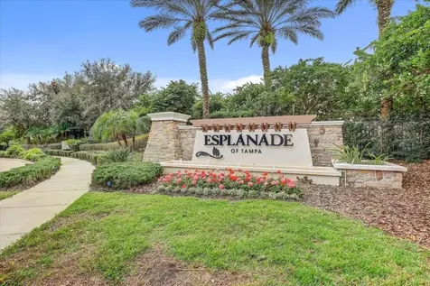 20113 Umbria Hill Drive Tampa FL 33647