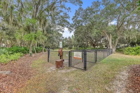 20113 Umbria Hill Drive Tampa FL 33647