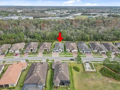 20113 Umbria Hill Drive Tampa FL 33647