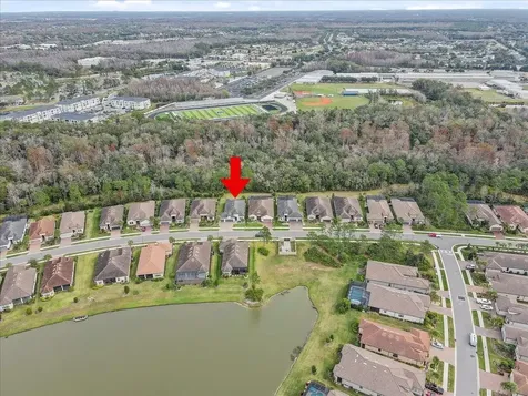 20113 Umbria Hill Drive Tampa FL 33647