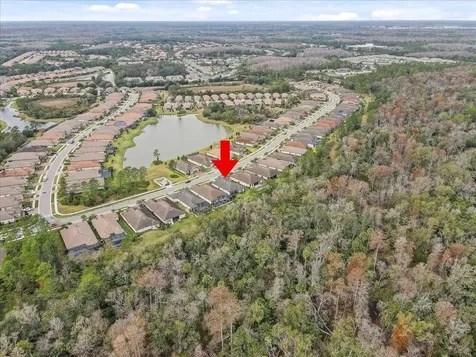 20113 Umbria Hill Drive Tampa FL 33647