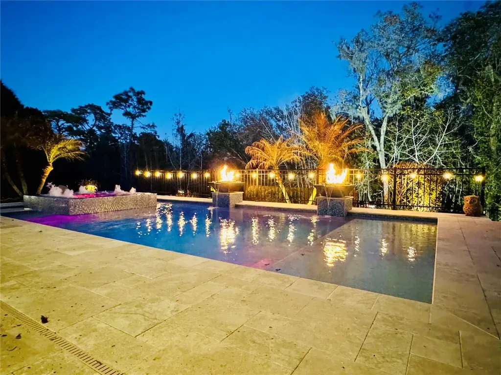 15220 Fishhawk Preserve Drive Lithia FL 33547
