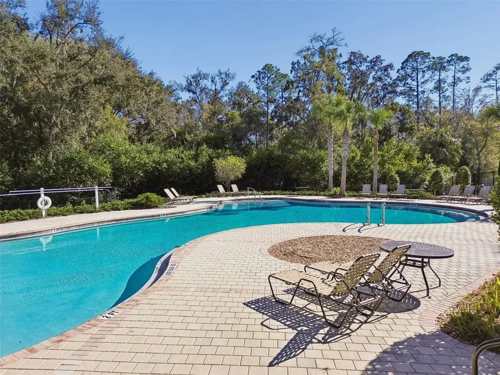 6065 Spring Crayfish Avenue New Port Richey FL 34653