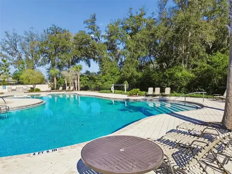 6065 Spring Crayfish Avenue New Port Richey FL 34653