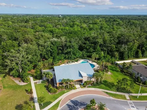 6065 Spring Crayfish Avenue New Port Richey FL 34653