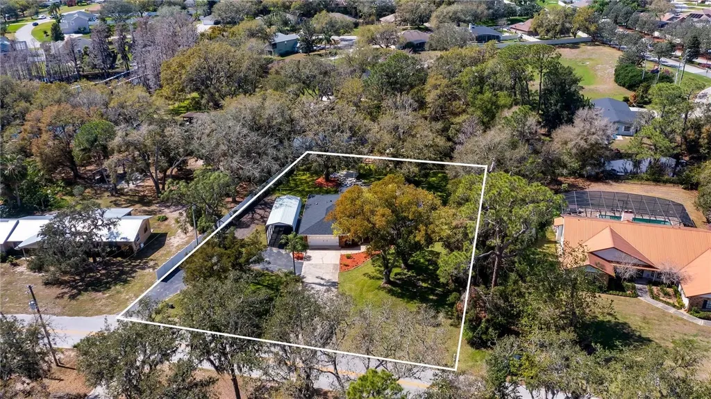 11136 Bronson Road Clermont FL 34711