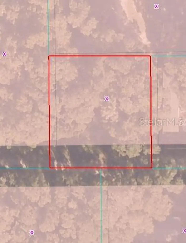 00 NE 160th Lane Citra FL 32113