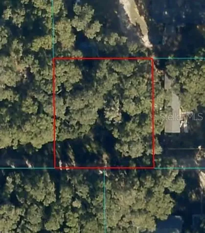 00 NE 160th Lane Citra FL 32113