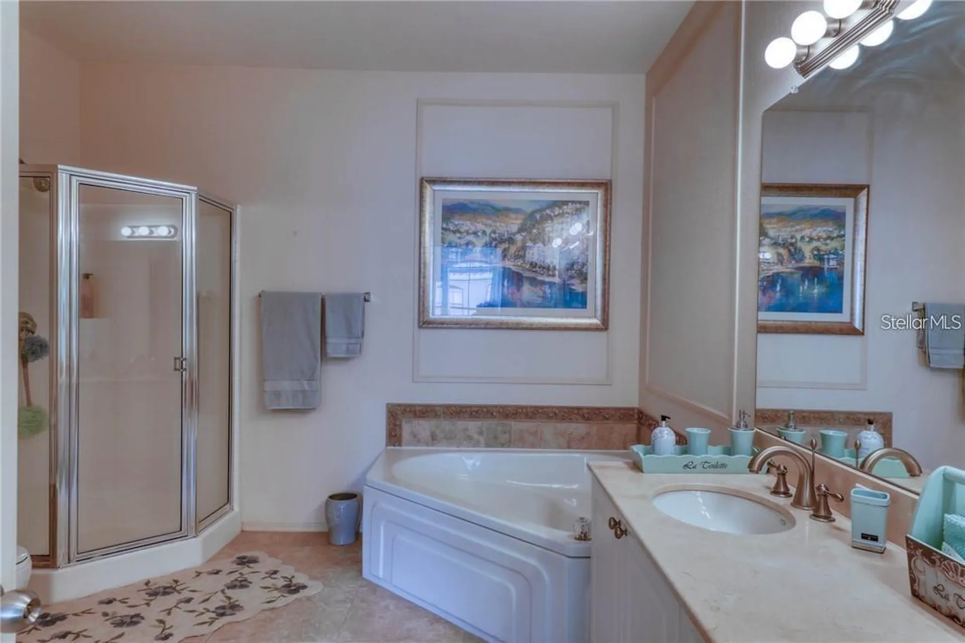 2733 Via Cipriani Clearwater FL 33764